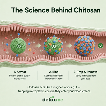 DetoxMe Chitosan 1200mg